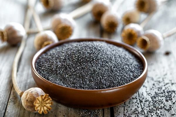 Poppy Seed Market - the Czech Republic Topped the List of Global Poppy Seed Exporters